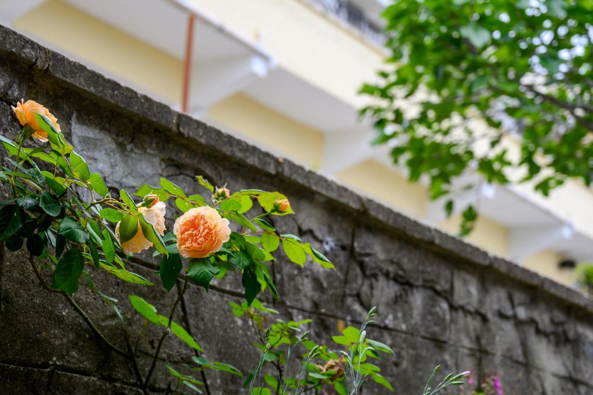 Hotel Effect Saint Mina Sozopol Exterior foto