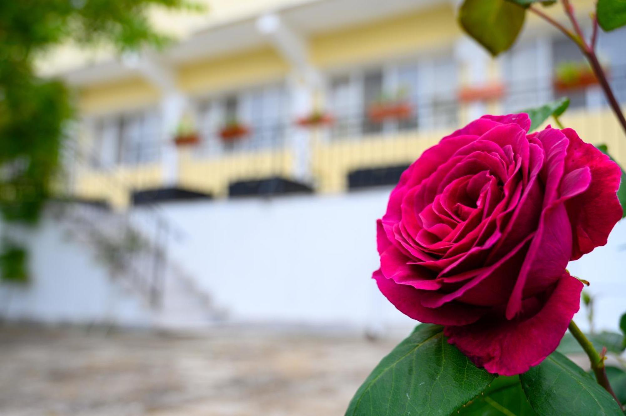 Hotel Effect Saint Mina Sozopol Exterior foto